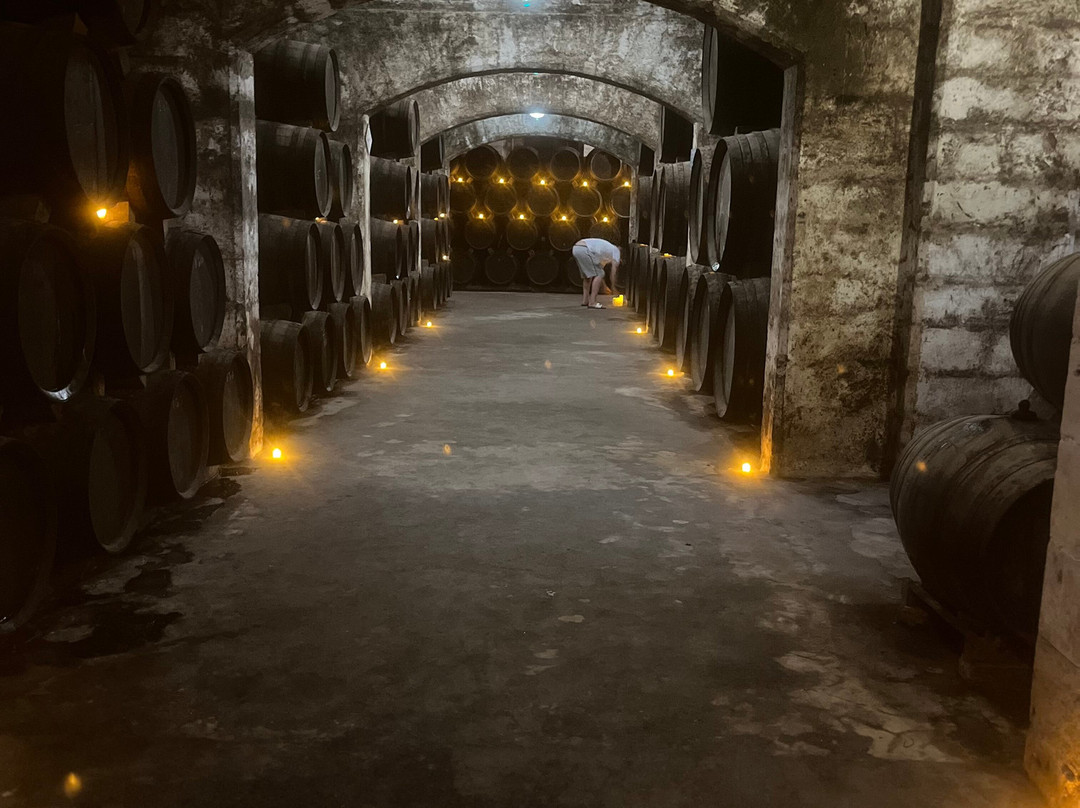 Bodegas Suau景点图片