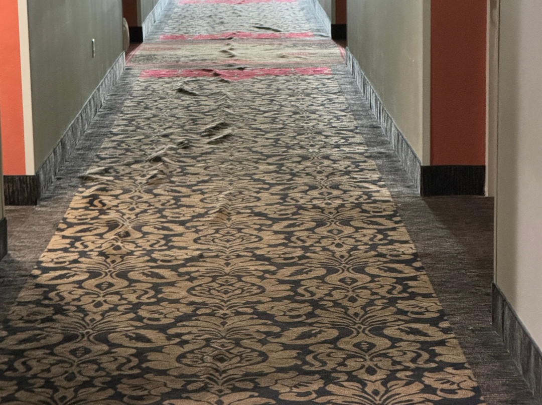 新伦敦假日酒店主图