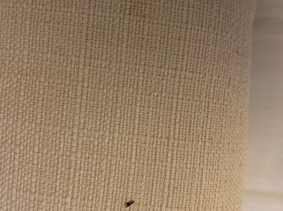 公园由雷迪森酒店美因茨主图