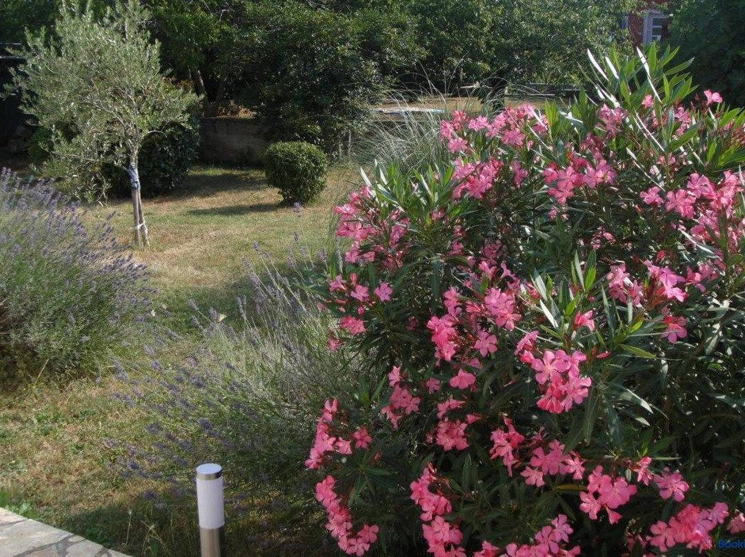Guesthouse Adriana Cottages