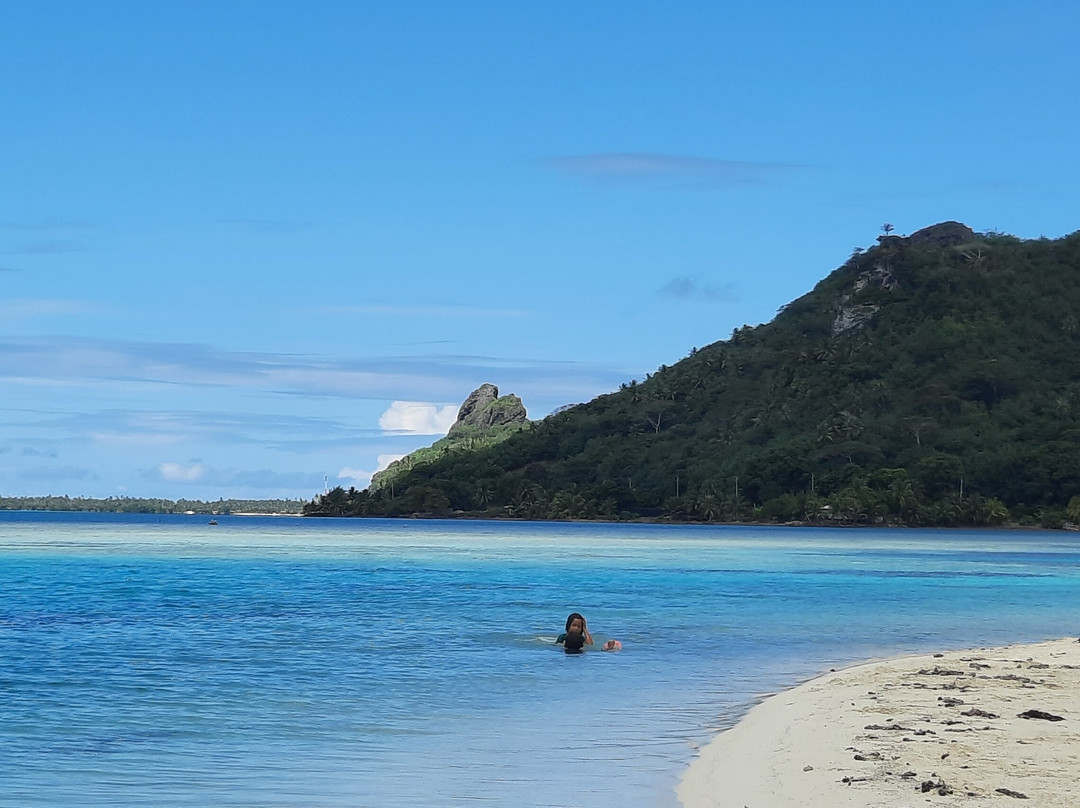 Pension Taputea主图