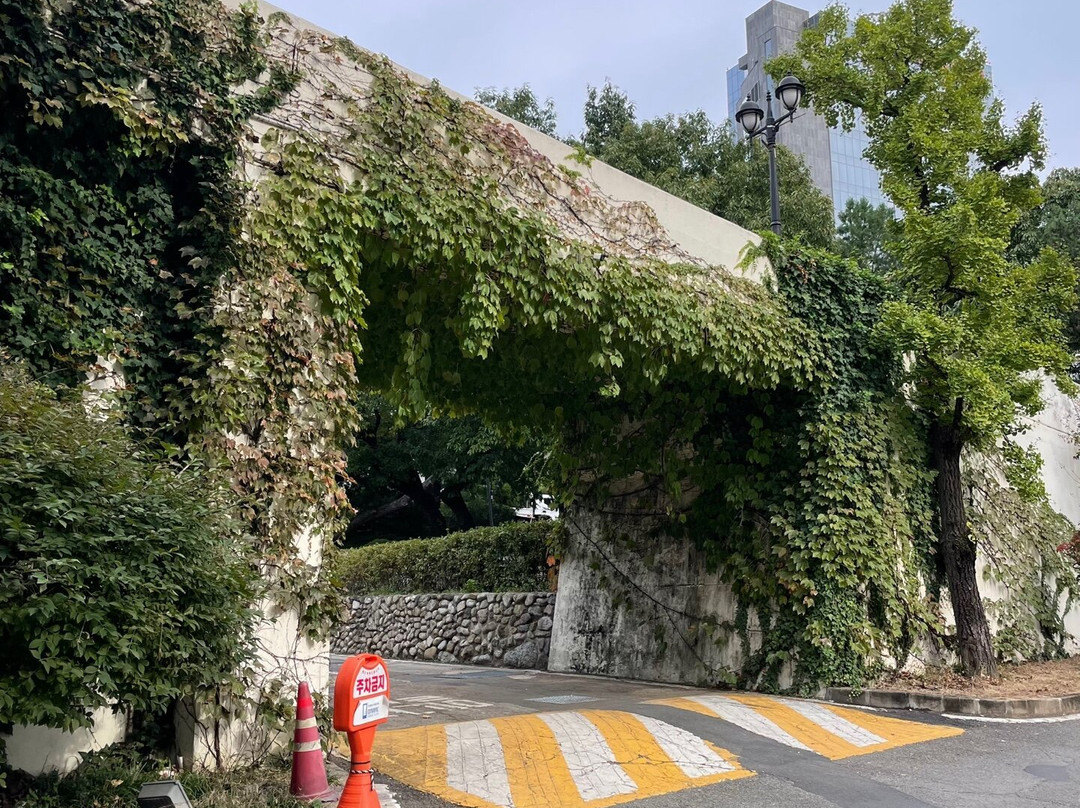 Cheongna Hill-大邱必去景点