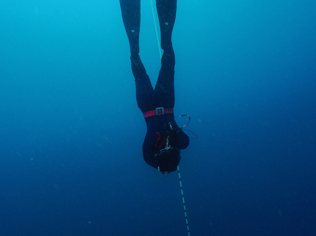 Ocean Bx Freediving-Mati必去景点