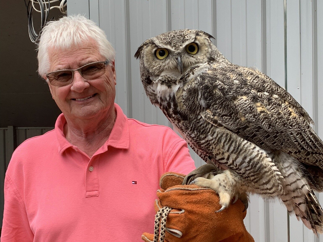 Alberta Birds of Prey Visitor's Centre-Coaldale必去景点
