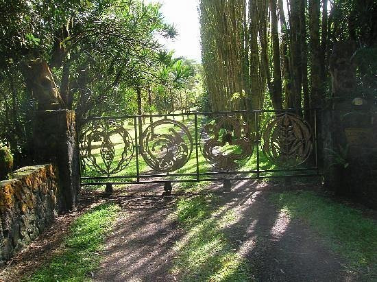 拉瓦树回归线客栈主图