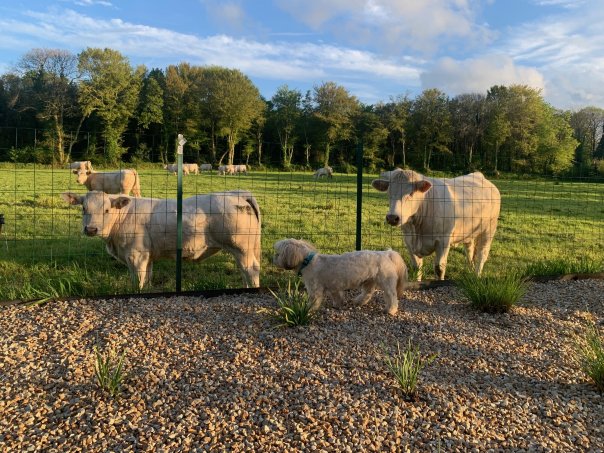 佩罗斯拉尼永英式酒店-酒店景观