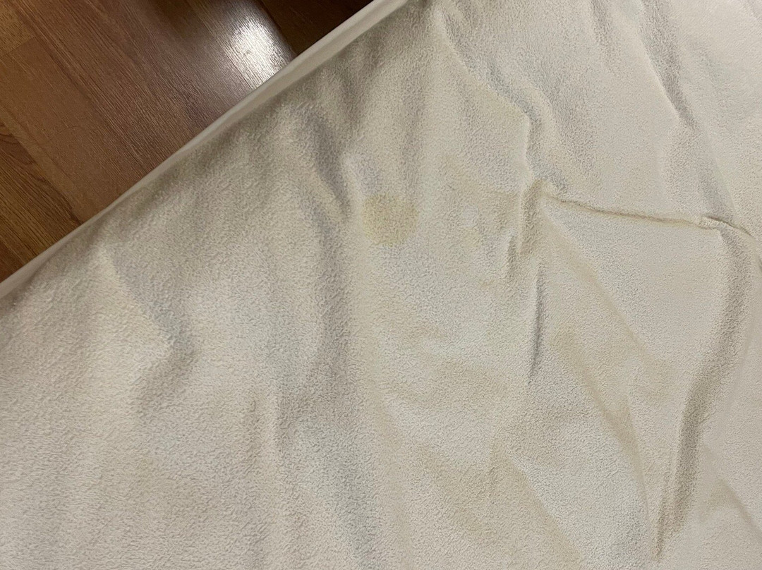Hotel Arbeyal主图