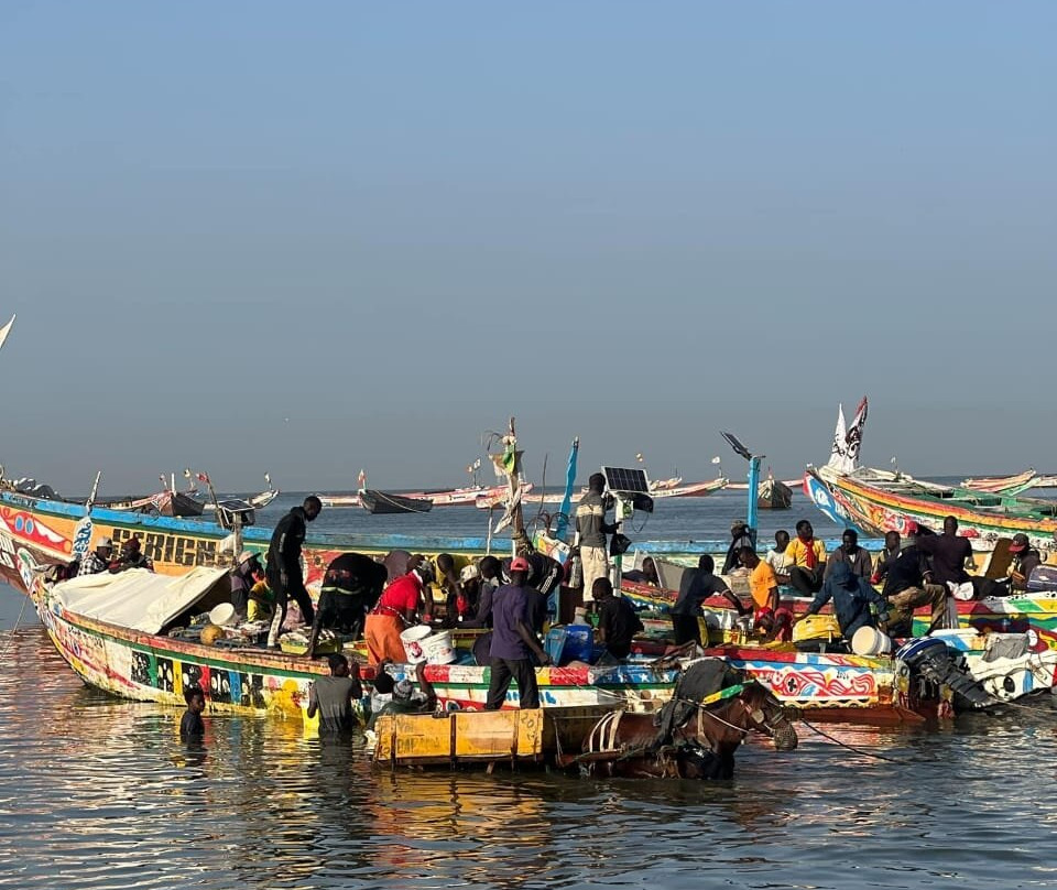 Kali Excursions Sénégal景点图片