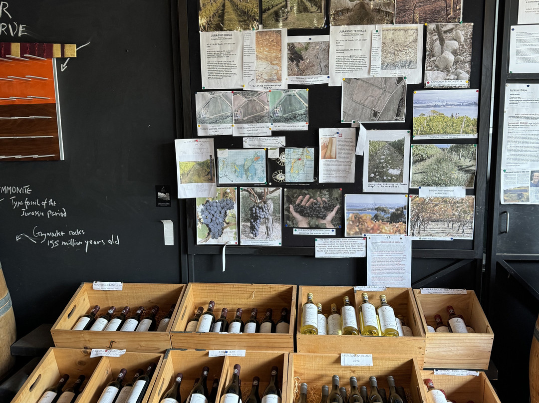 Jurassic Ridge Vineyard景点图片