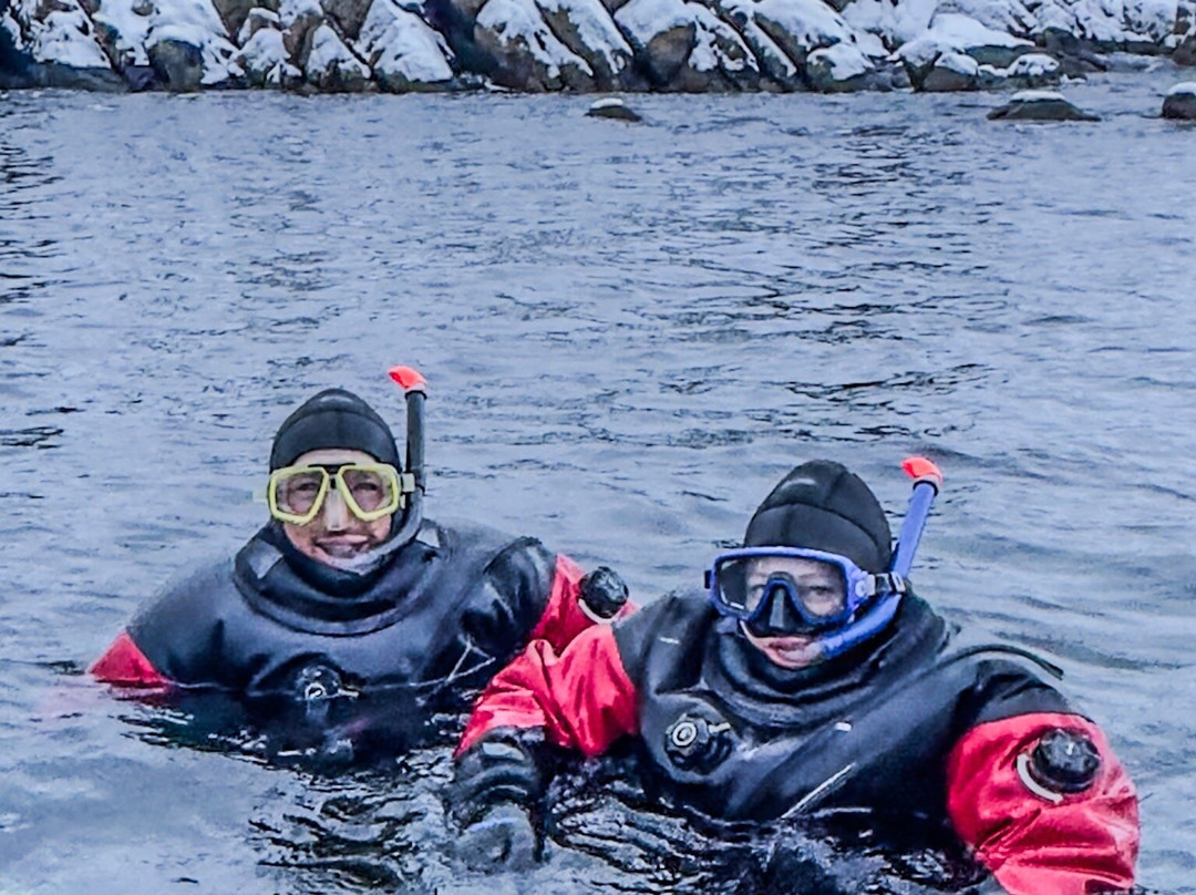 Lofoten Diving景点图片