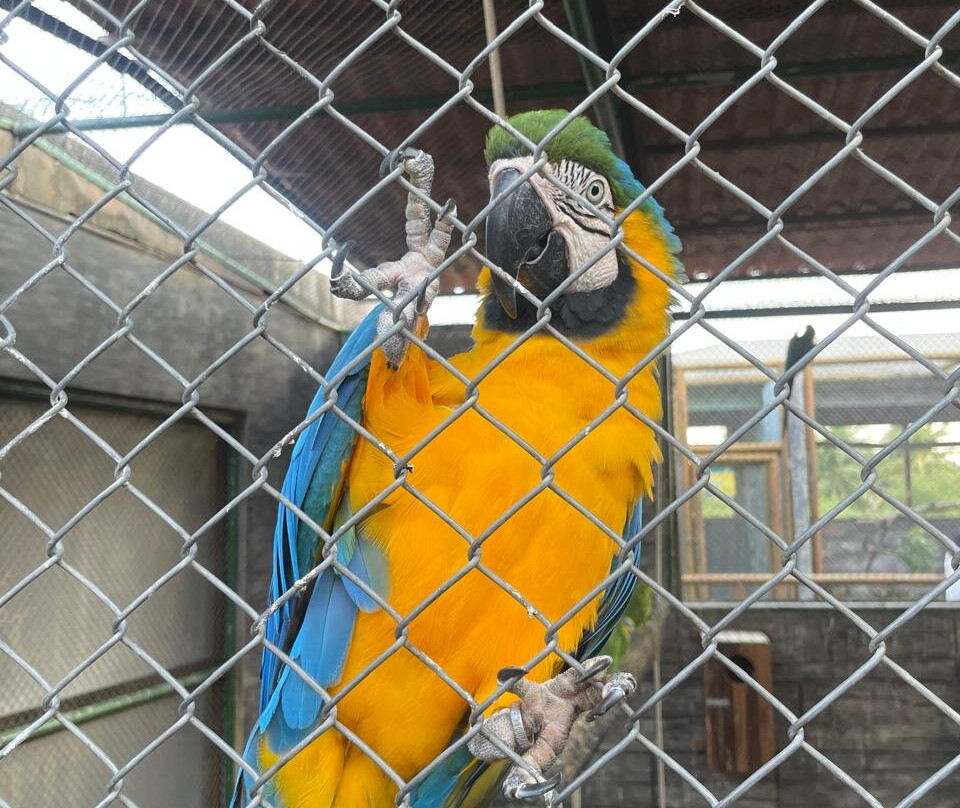 Jv Tour Receptivo-累西腓必去景点