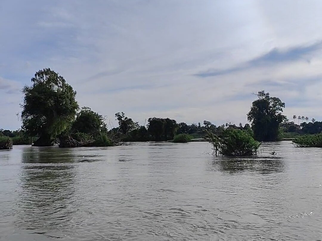 Sorya Kayaking Adventures景点图片