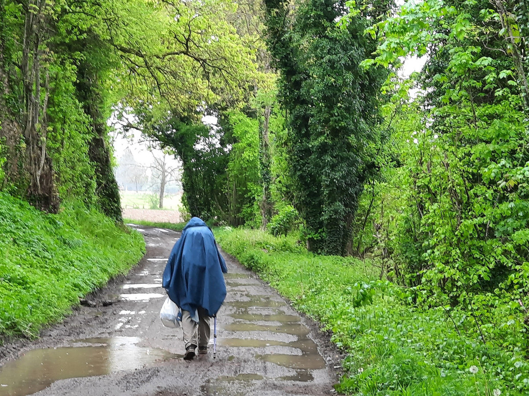 Le Pas de l'Ane主图