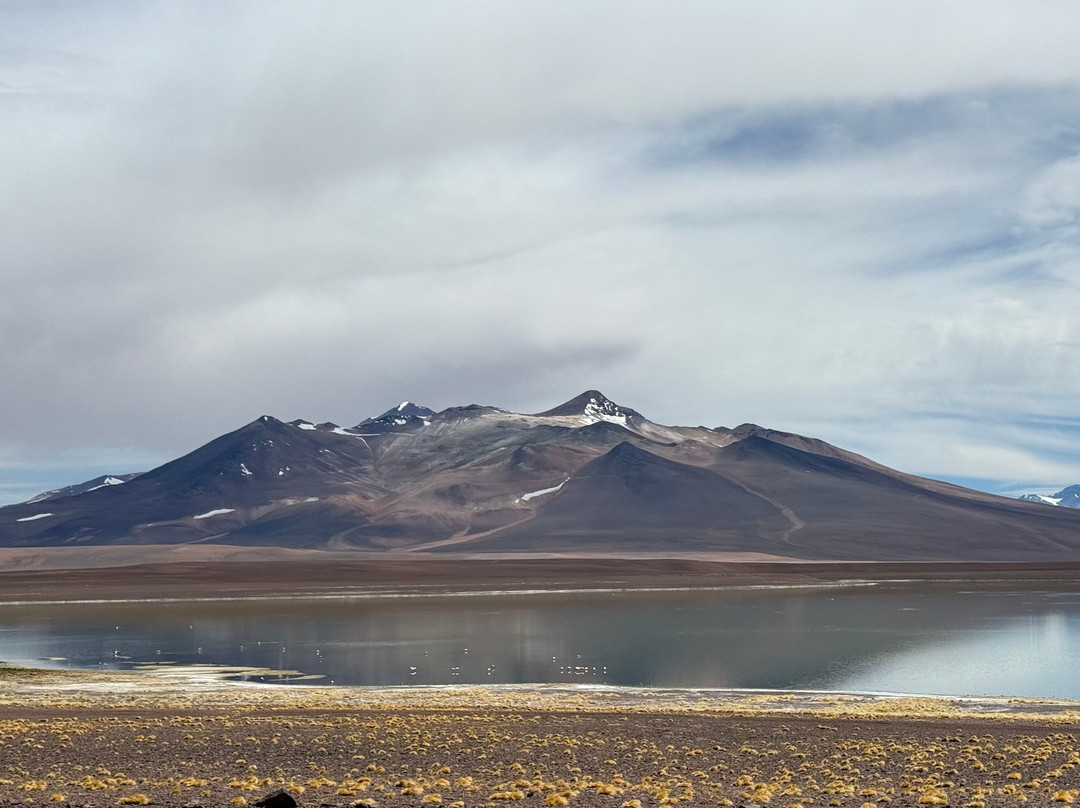 Tour Operador Puna de Atacama-Copiapo必去景点