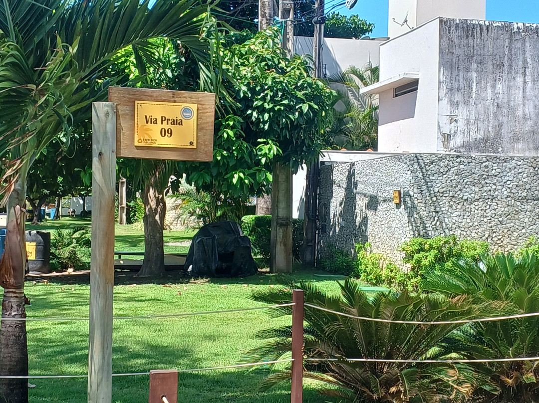 Toquinho Beach-嘎林海斯港必去景点