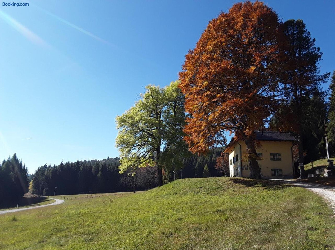 Chalet Musiera