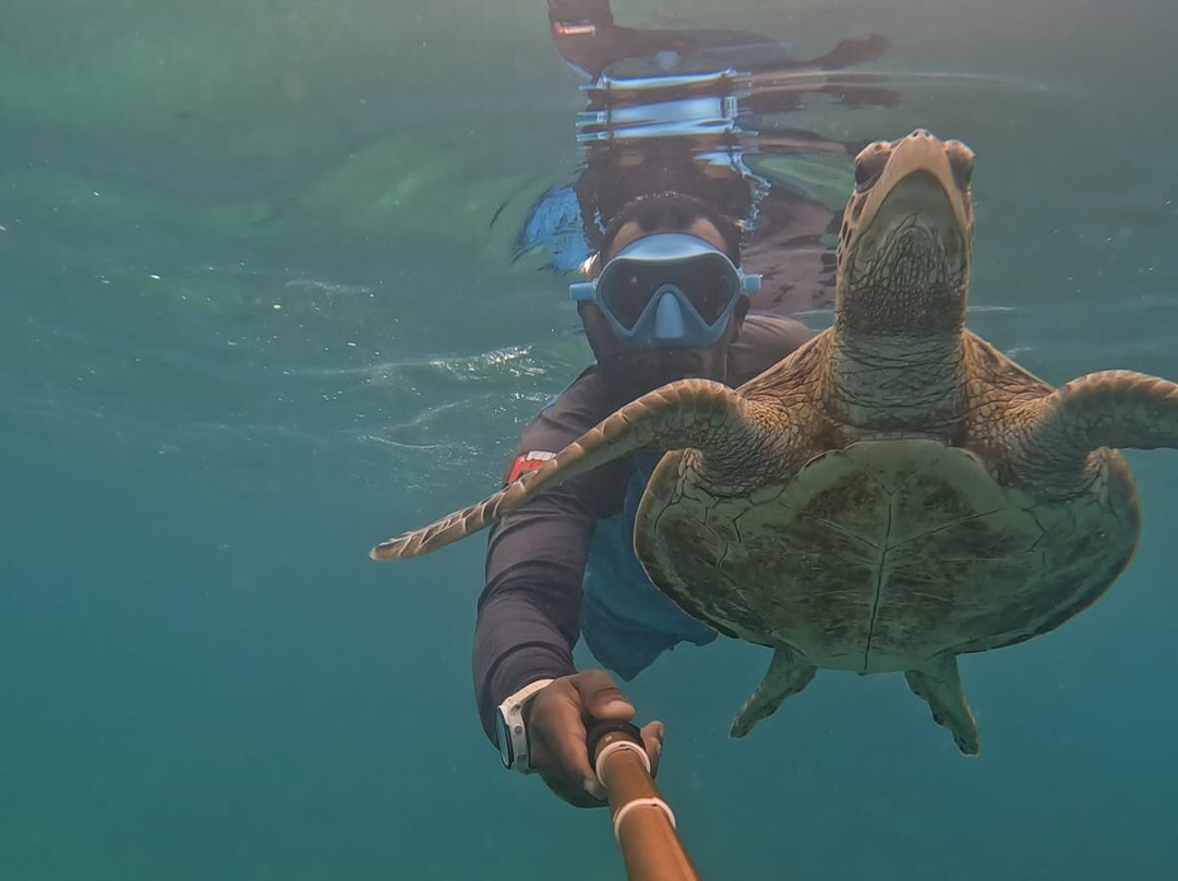 Marmar Tourism and Marine-马斯喀特必去景点