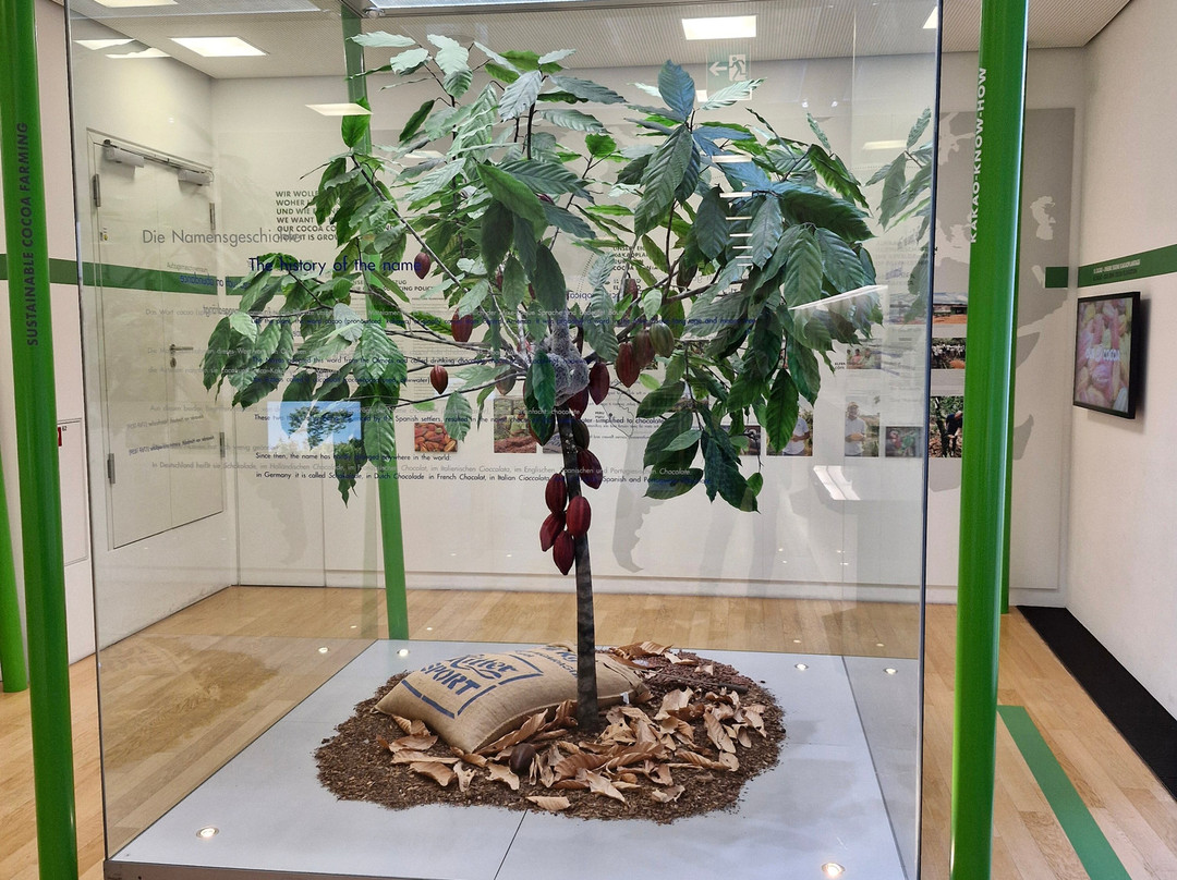 Ritter Sport Choco Exhibition-Waldenbuch必去景点