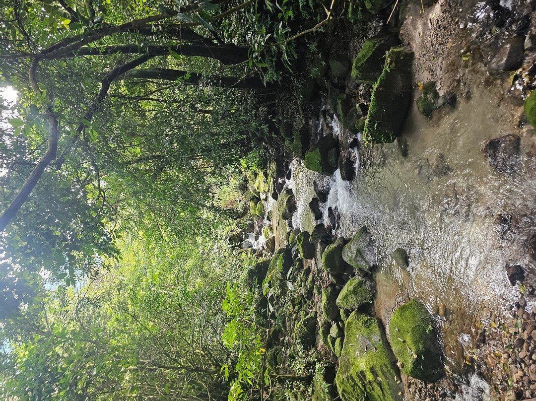 EVACC Foundation - El Valle Amphibian Conservation Center Foundation景点图片