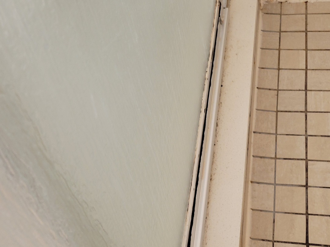 Holiday Inn Express & Suites Jackson Northeast By IHG主图