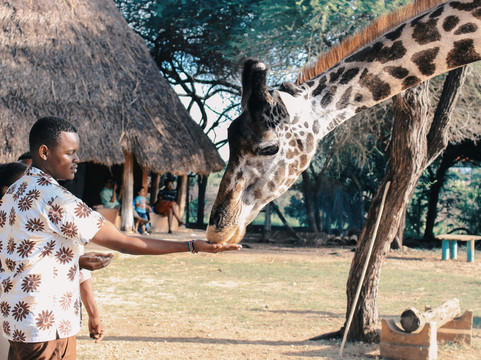 Afrivine Tours and Travels-Eldoret必去景点