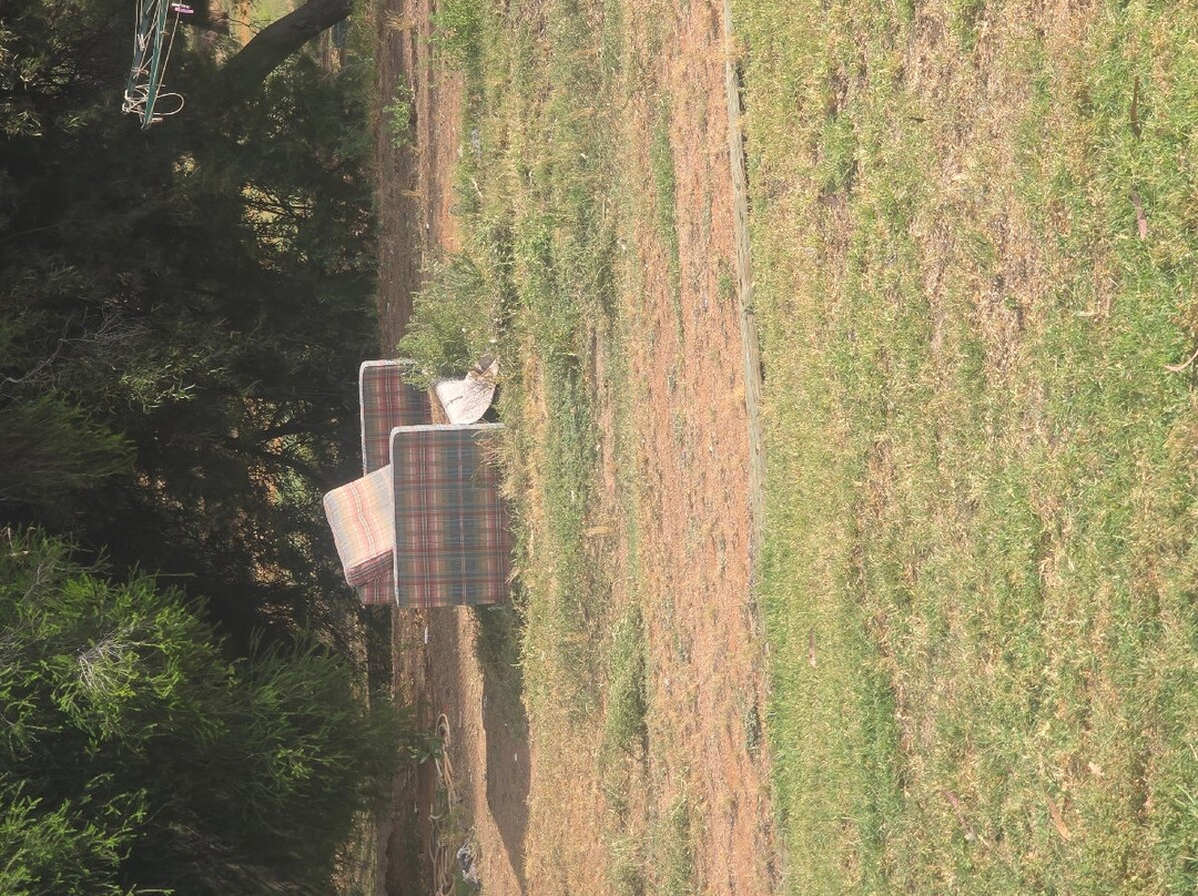 Renmark Country Club主图