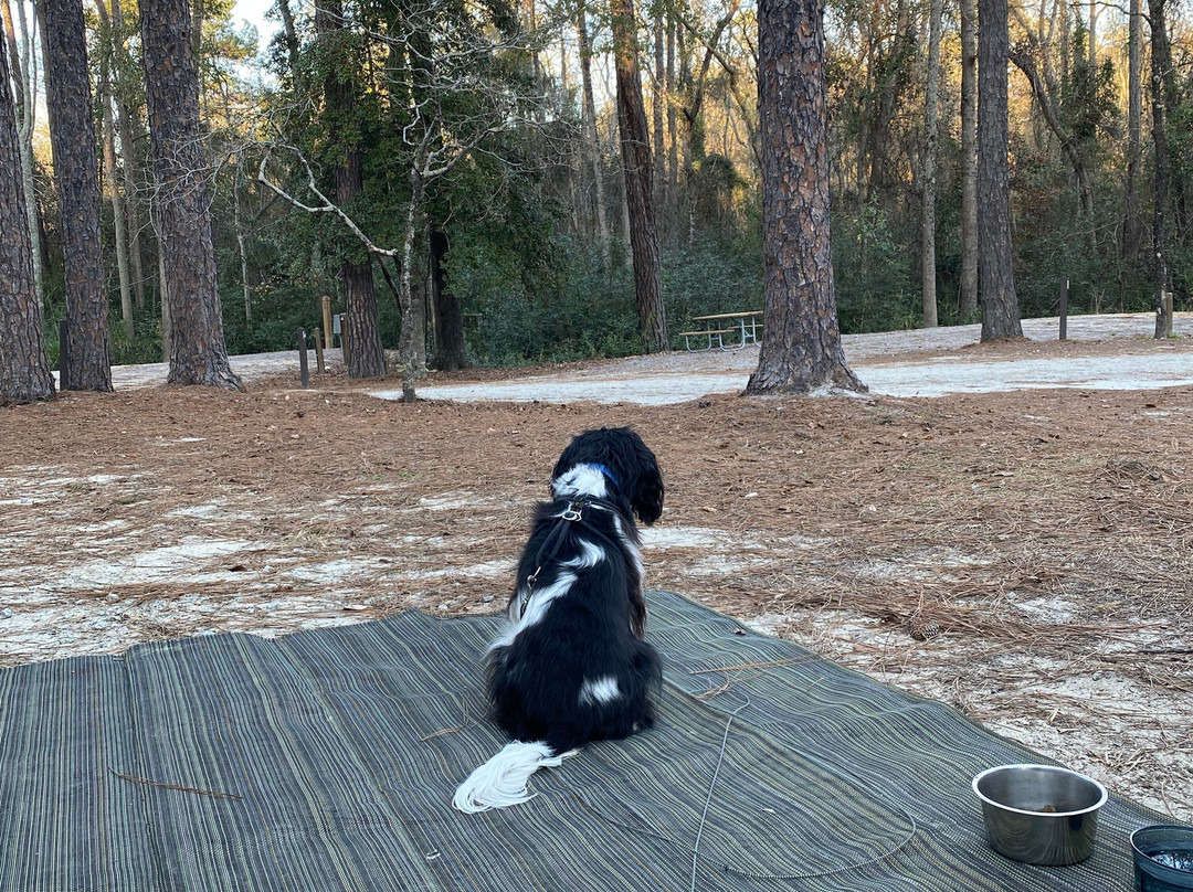 Sesquicentennial State Park-哥伦比亚必去景点