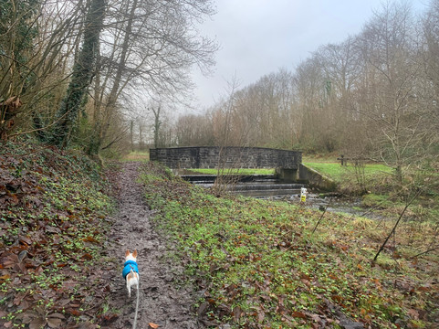 Glinsk Castle-Glinsk必去景点