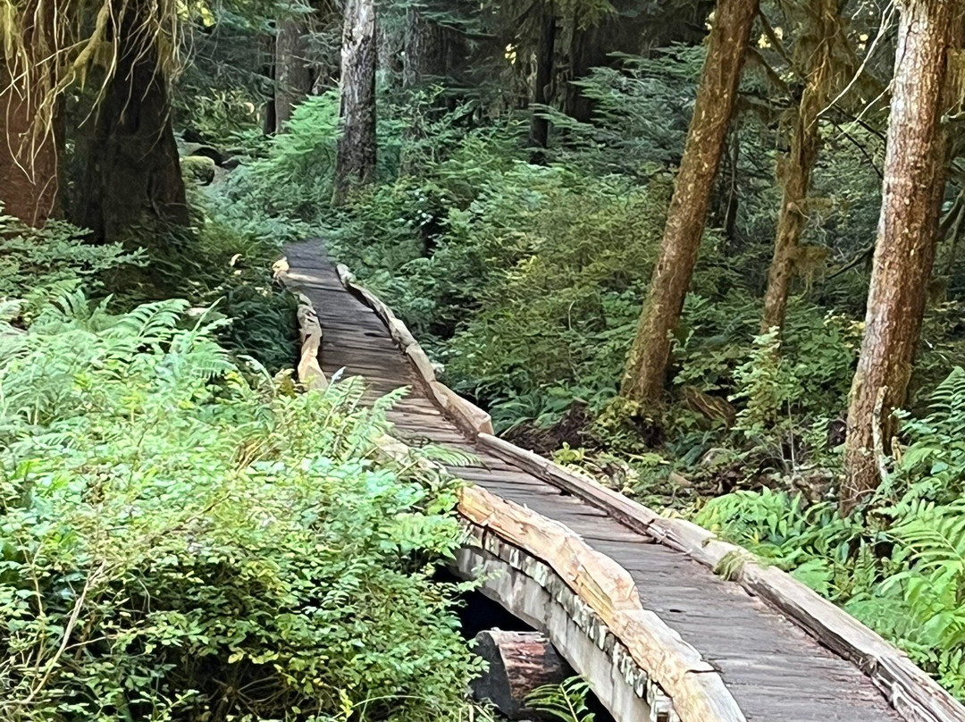 Spruce Railroad Trail景点图片