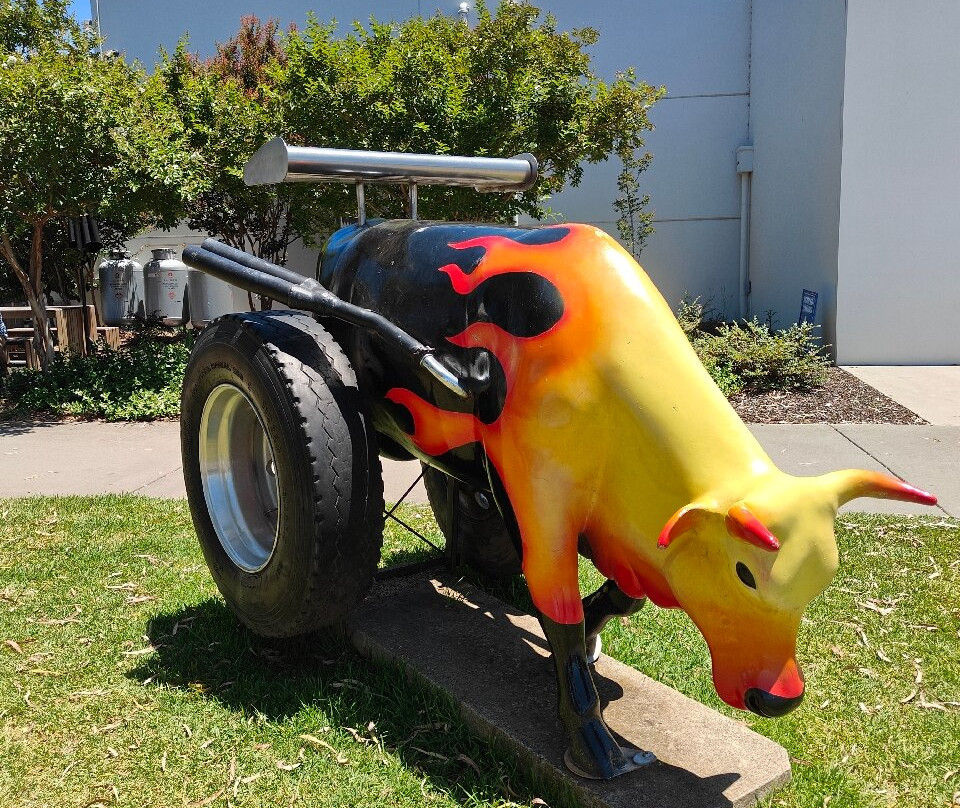 Moooving Art Shepparton-谢珀顿必去景点