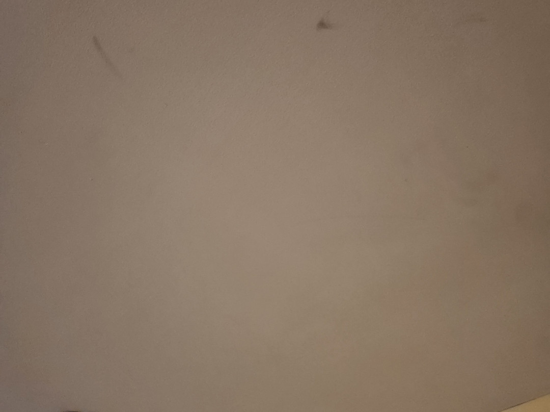 Seven Crown Centro Historico La Paz主图