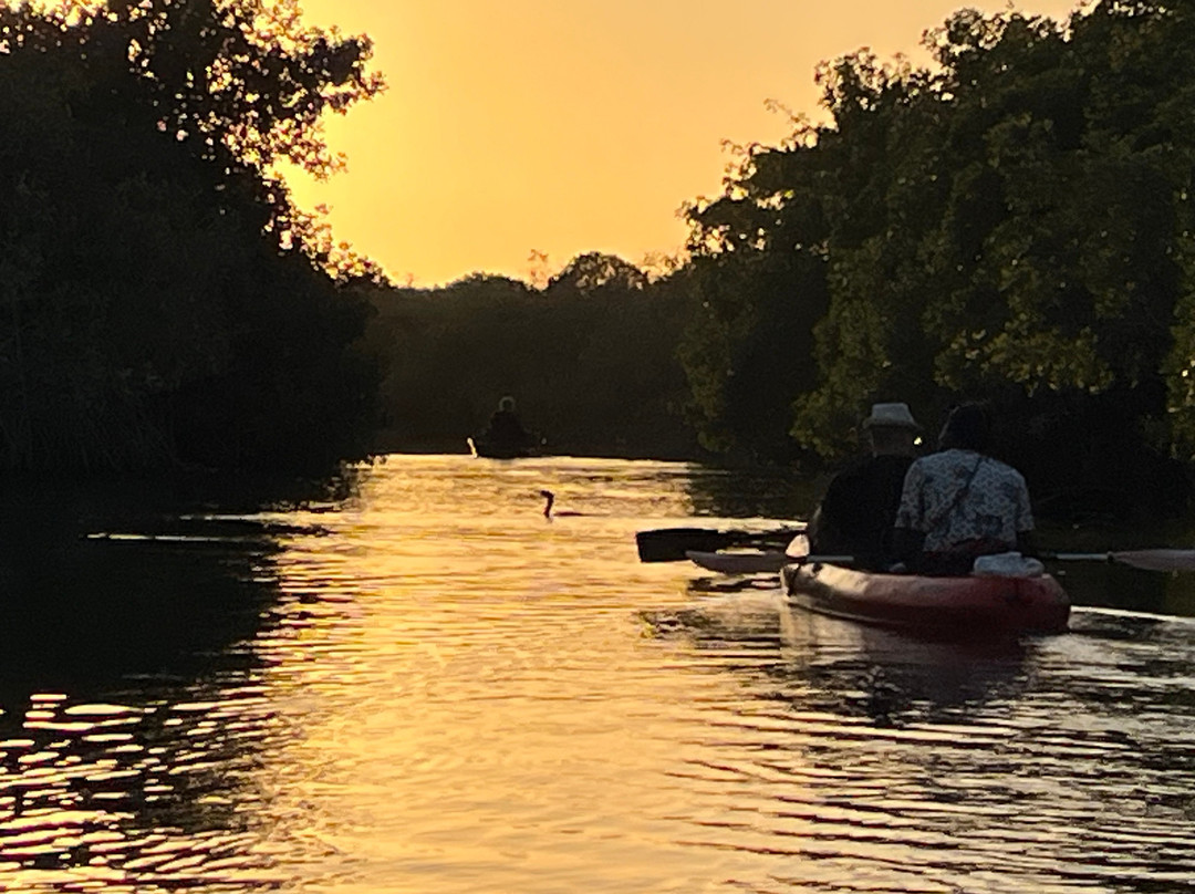 Gambia Kayaking景点图片