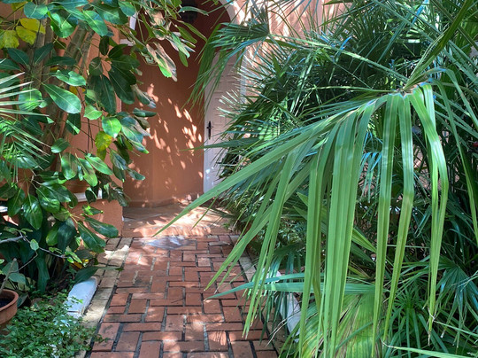 马德雷瑟瓦酒店主图