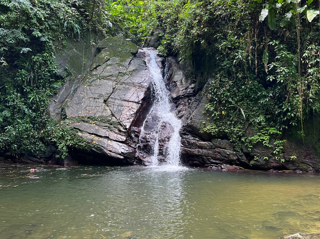 Castara Waterfall-Castara必去景点