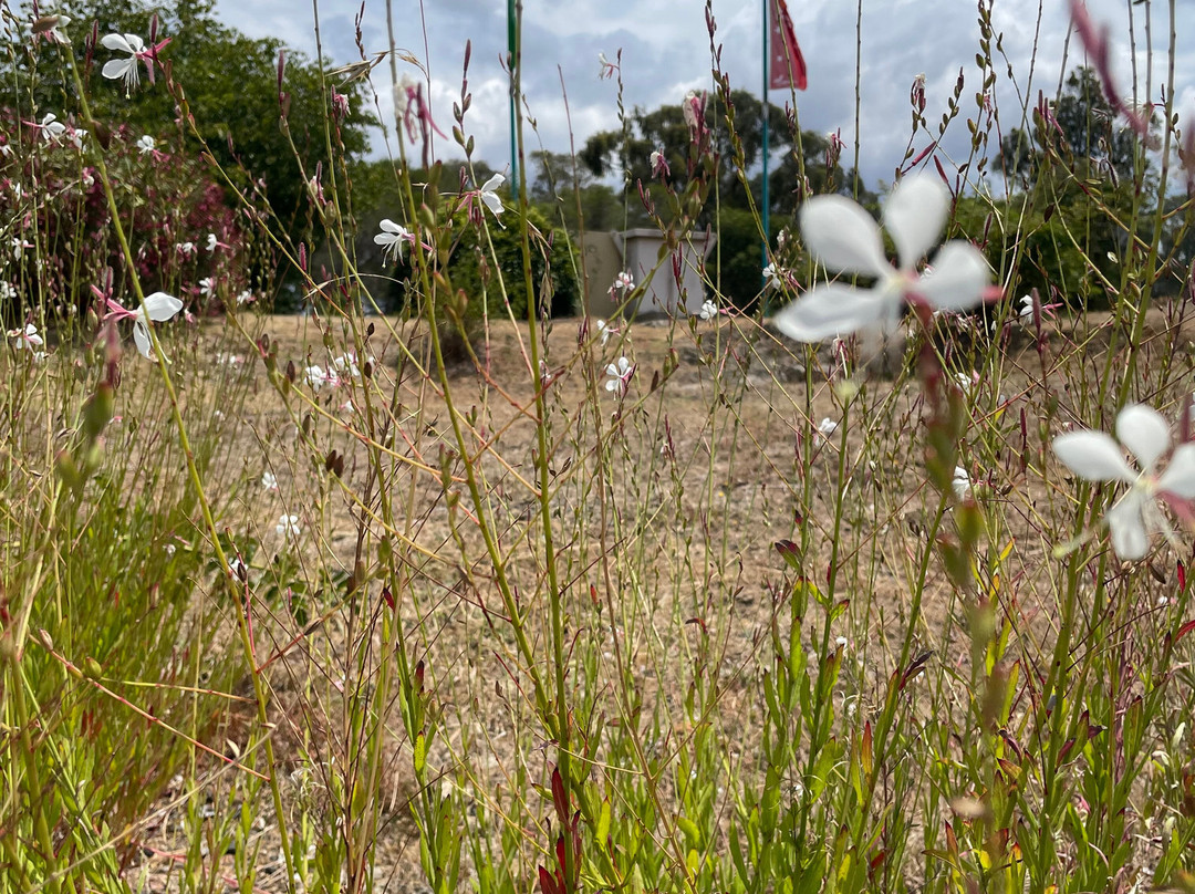 The Big Cigar-Churchill必去景点
