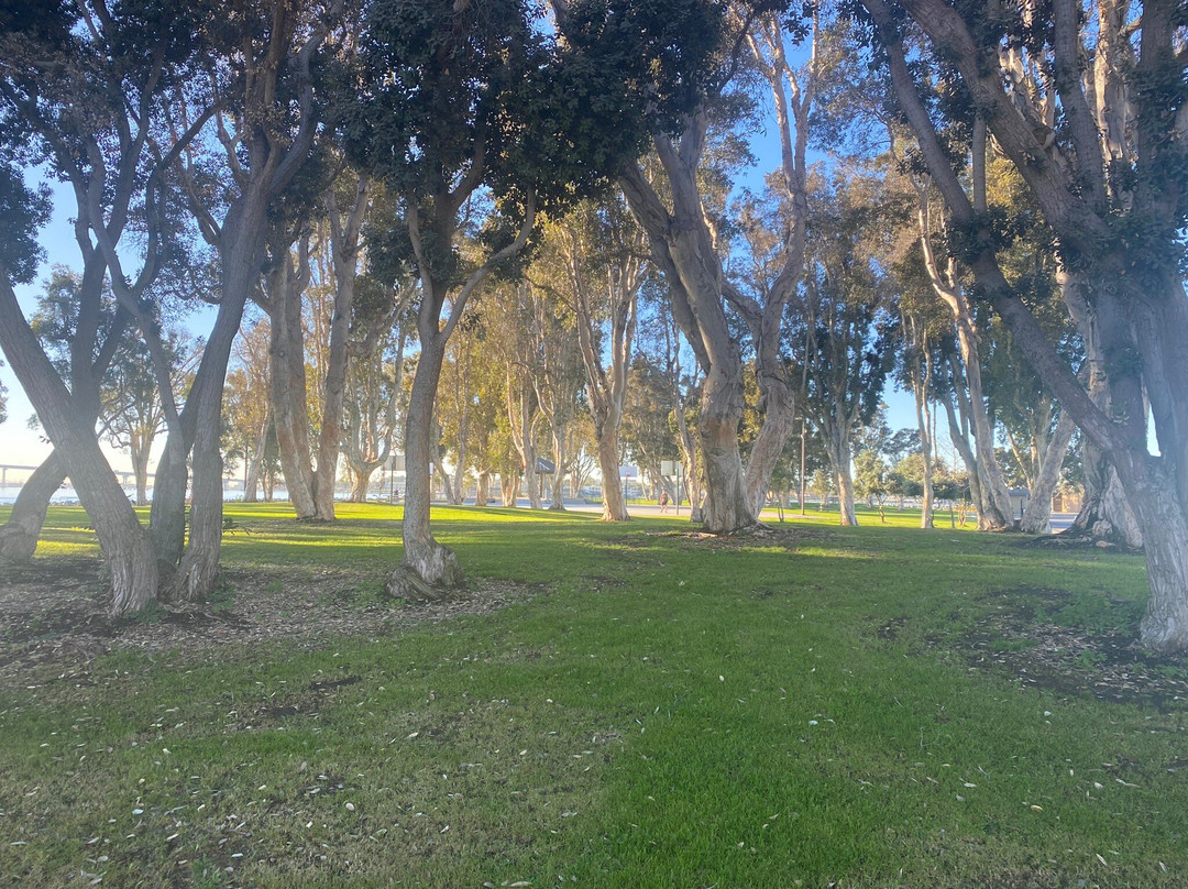 Embarcadero Marina Park South-圣地亚哥必去景点