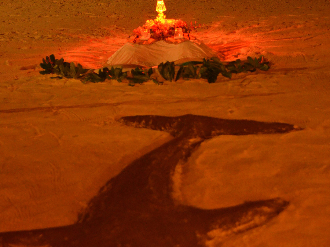 Thari Fushi Maldives主图