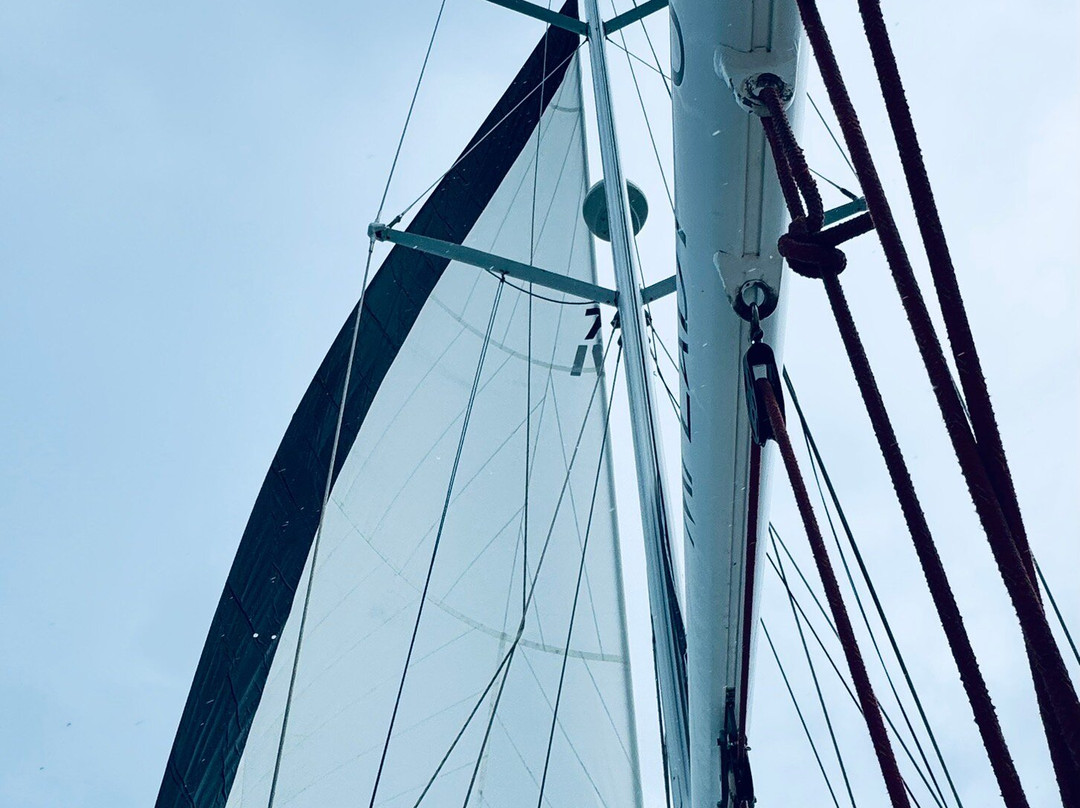 Providence Whitsunday Sailing-艾尔利滩必去景点