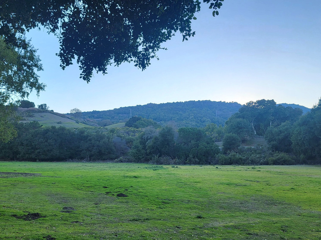 Rancho San Antonio Open Space Preserve-Los Altos Hills必去景点