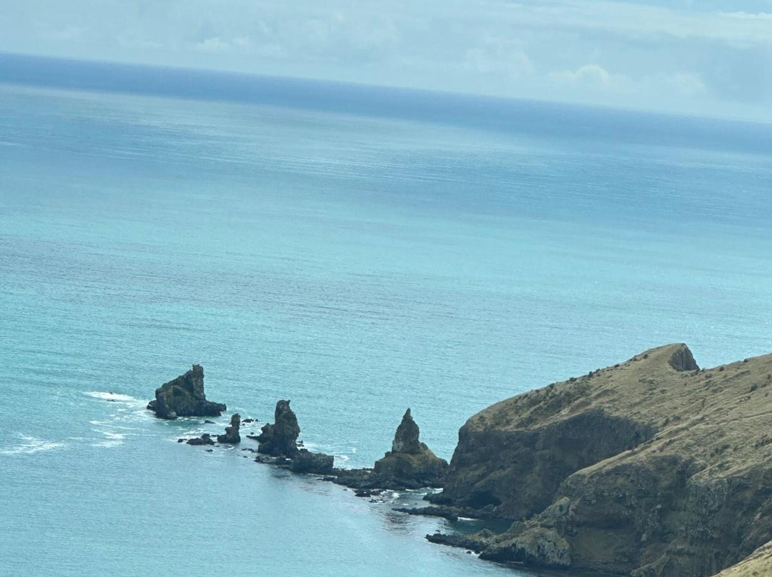 Akaroa's Eastern Bays Scenic Mail Run景点图片