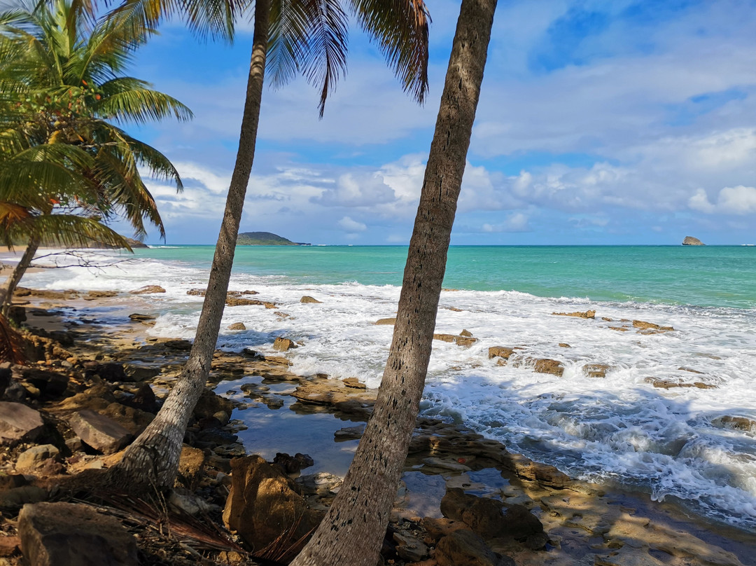 Plage Cluny-Sainte Rose必去景点