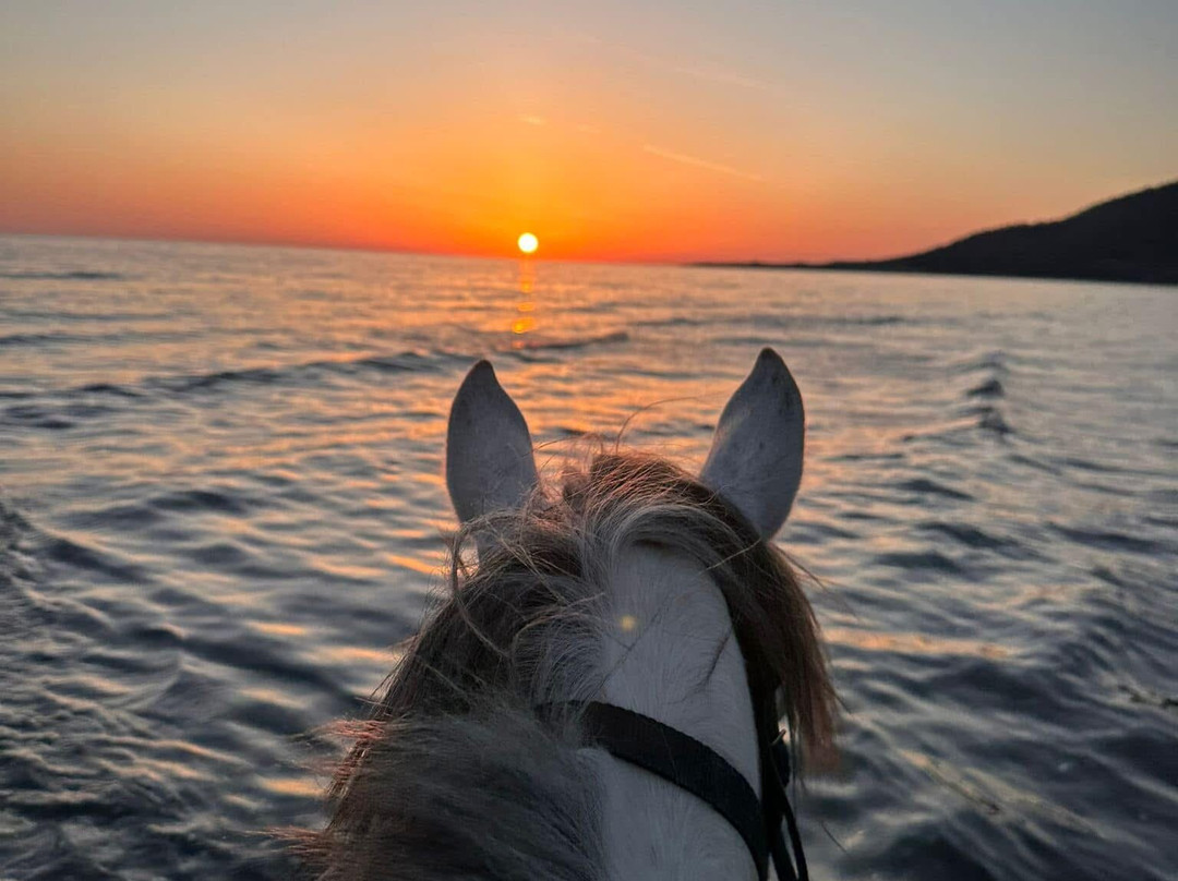 Kalkan Horse Riding景点图片