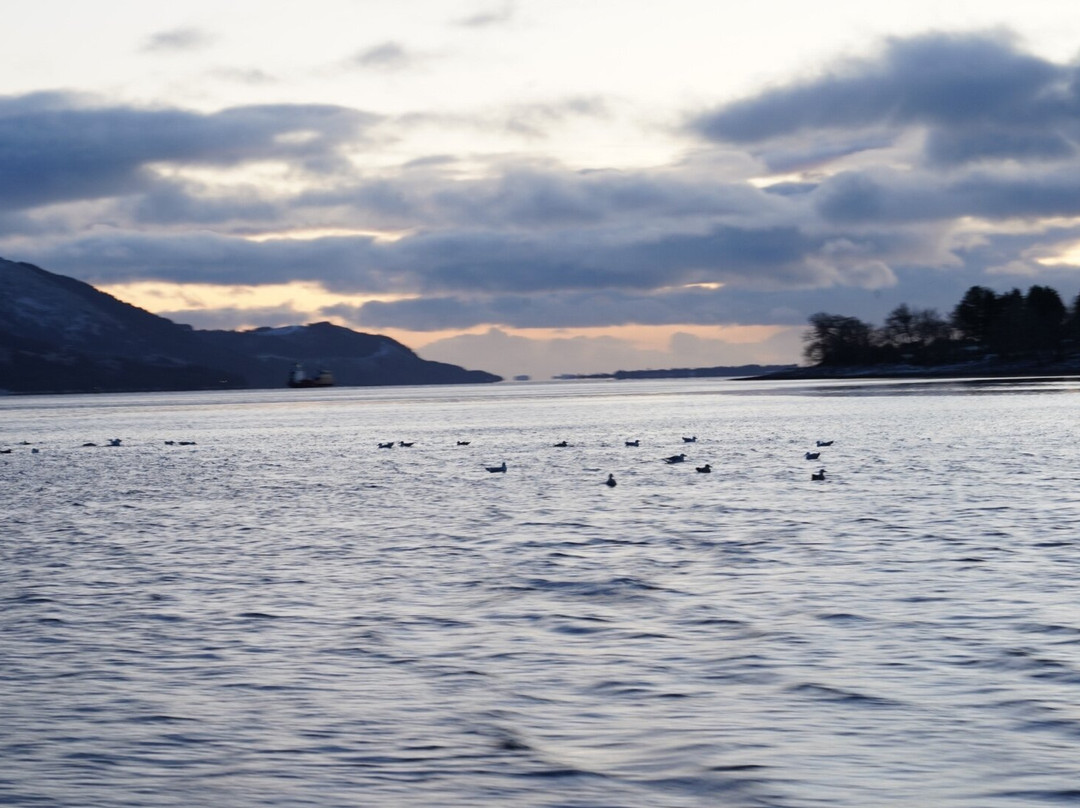 Highland Ferries ( Fort-william To Camusnagaul )-威廉堡必去景点