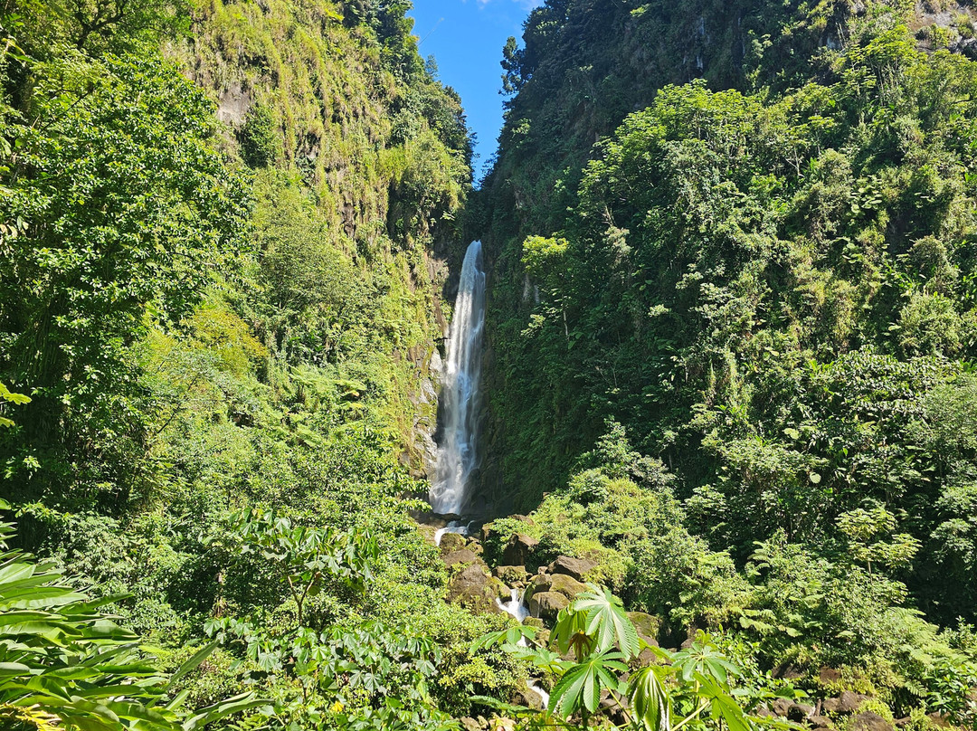 Trafalgar Falls-Morne Trois Pitons National Park必去景点