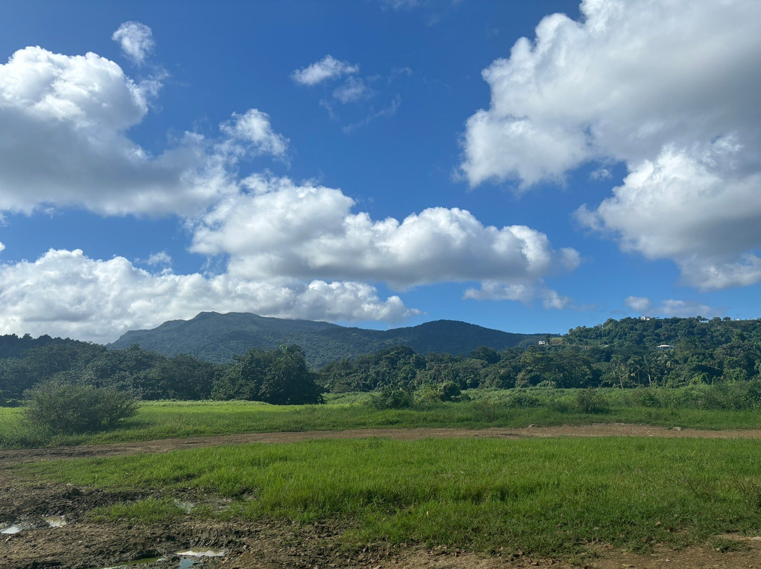 Carabali Rainforest Adventure Park-Luquillo必去景点