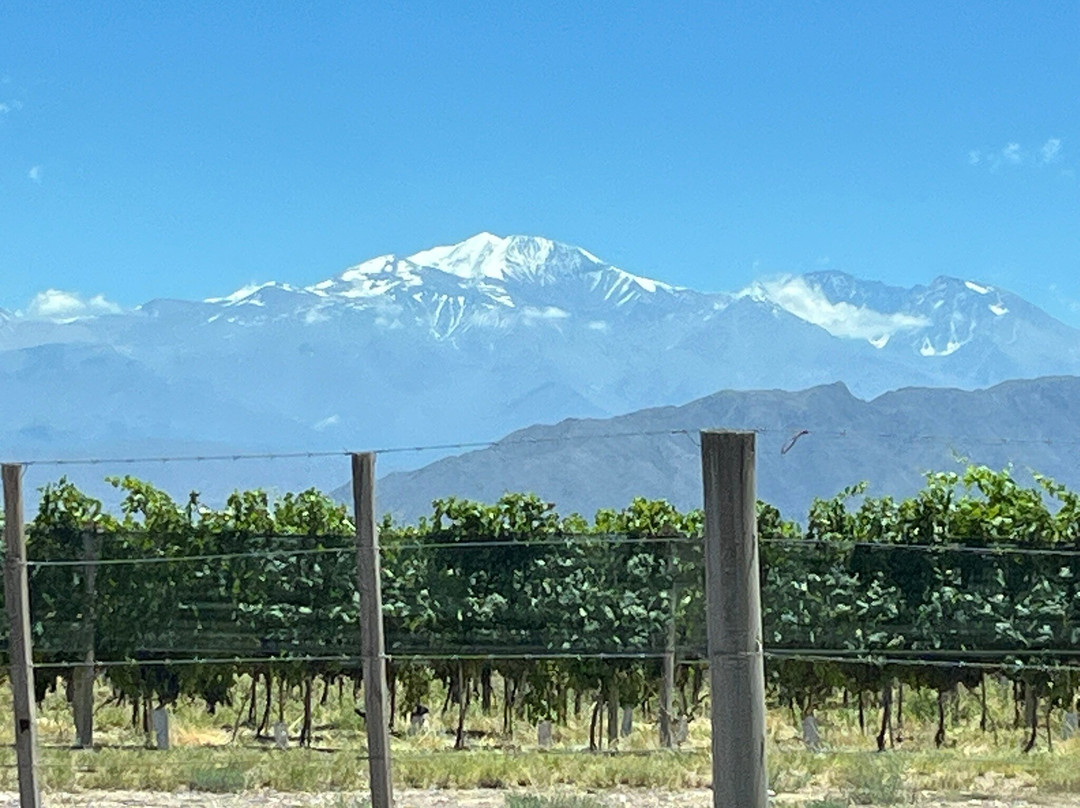Palermo-布宜诺斯艾利斯必去景点