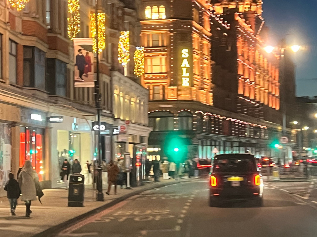 "White Eagle Cars" - London Airport & Seaport Transfers景点图片
