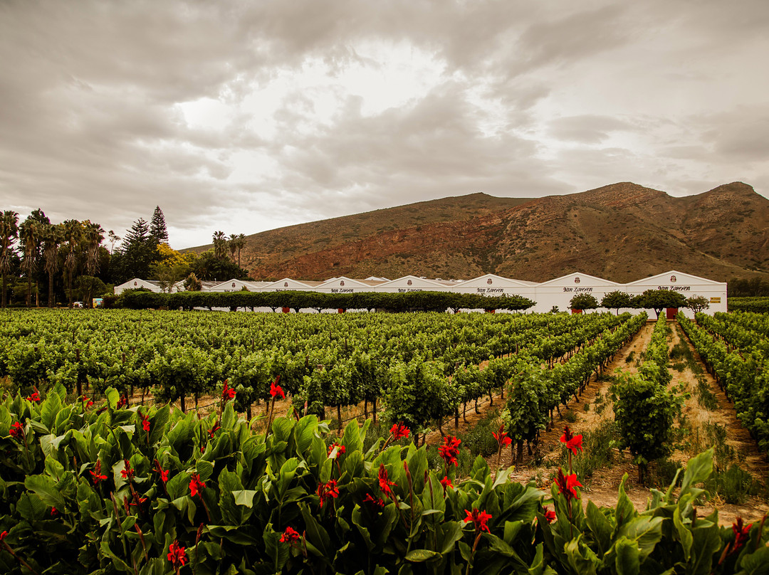 Van Loveren Family Cellar-Robertson必去景点