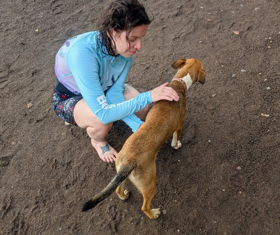 Donny's Watersports-Pointe Michel必去景点