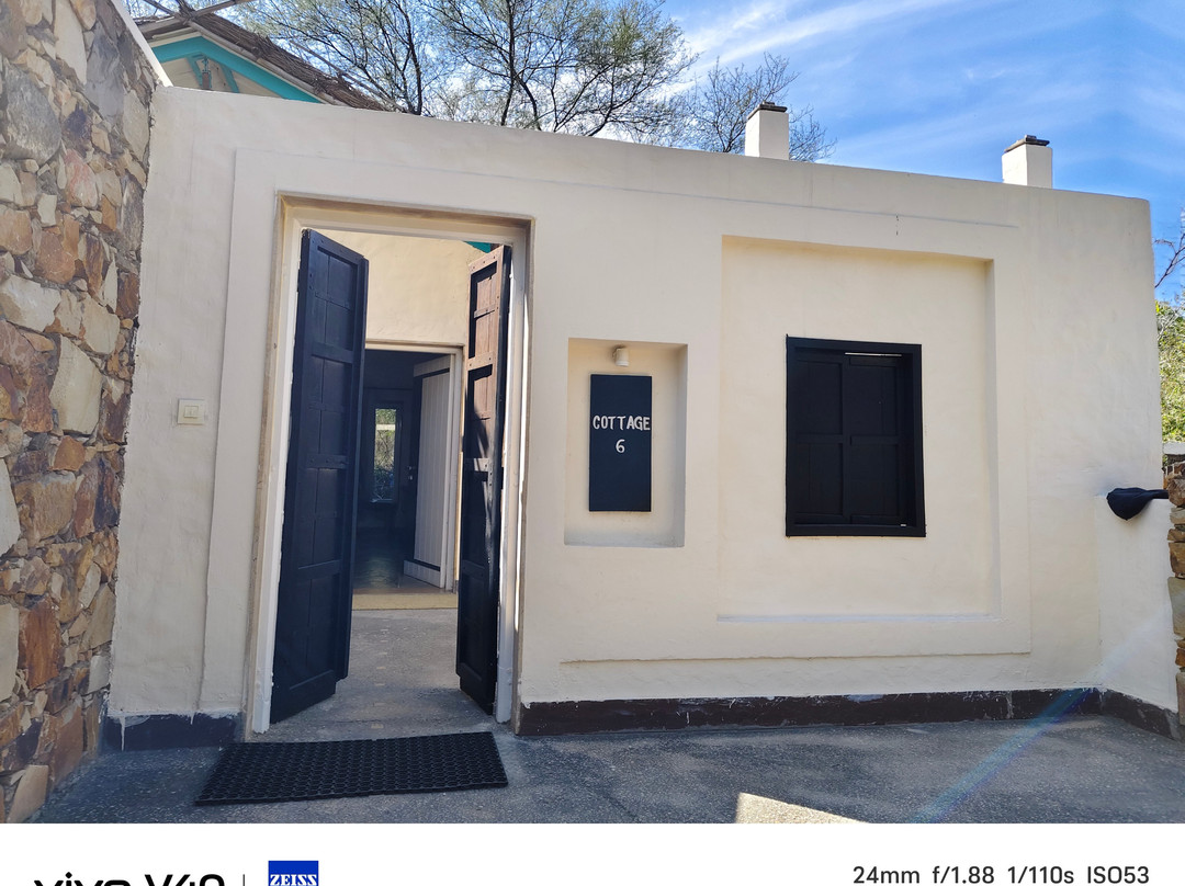 Trees N Tigers Sariska主图